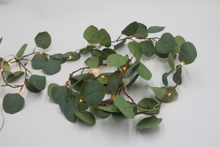 Image du produit GuGus Feuilles d'eucalyptus (0.30 m)