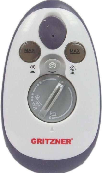 Actual product image Gritzner Easy Iron (420 W)