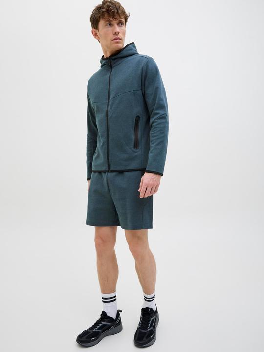 Immagine prodotto Jack & Jones Regular Fit Regular Fit Shorts Regular Fit Shorts (XS)