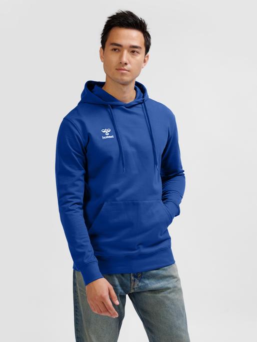 Actual product image hummel HMLGO 2.0 HOODIE (XL)