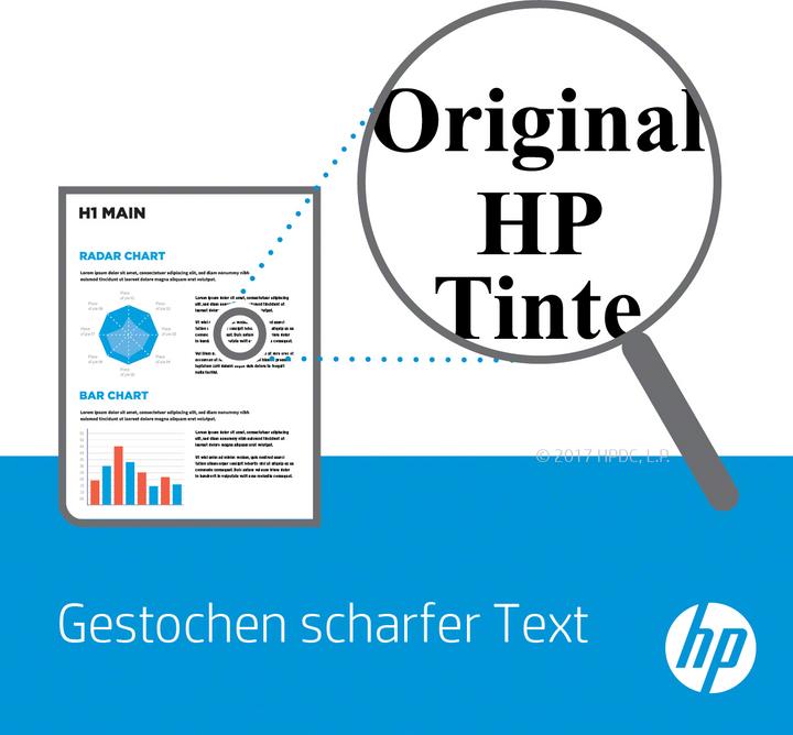 Actual product image HP 304 (FC)