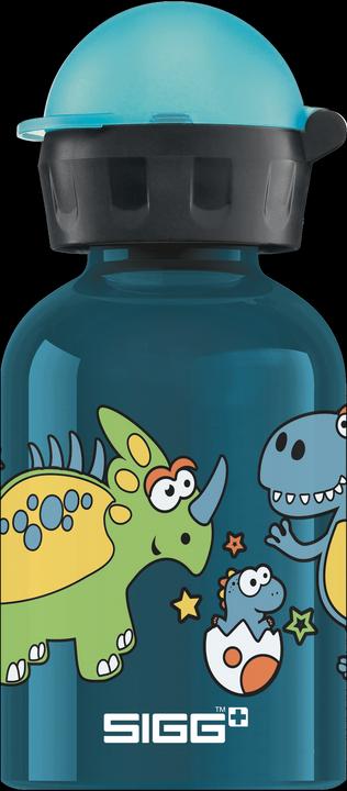 Actual product image Sigg Kbt (0.30 l)