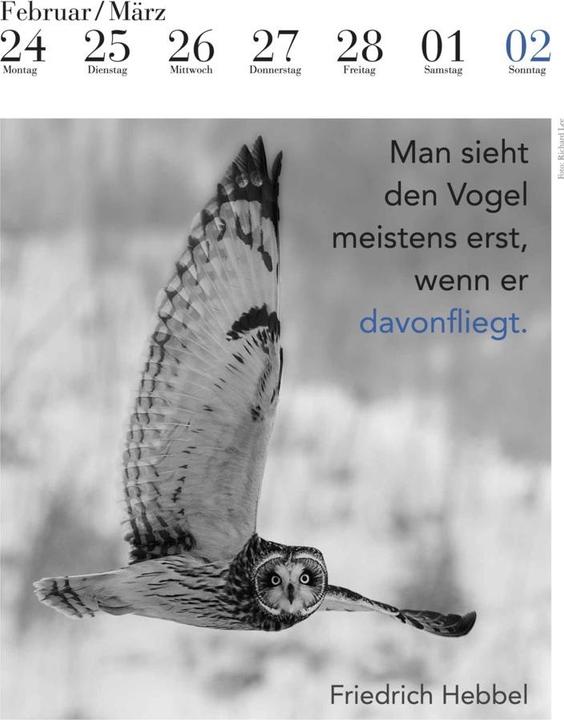 Actual product image The literary owl calendar 2025 (24 x 32 cm, Hardcover, German)