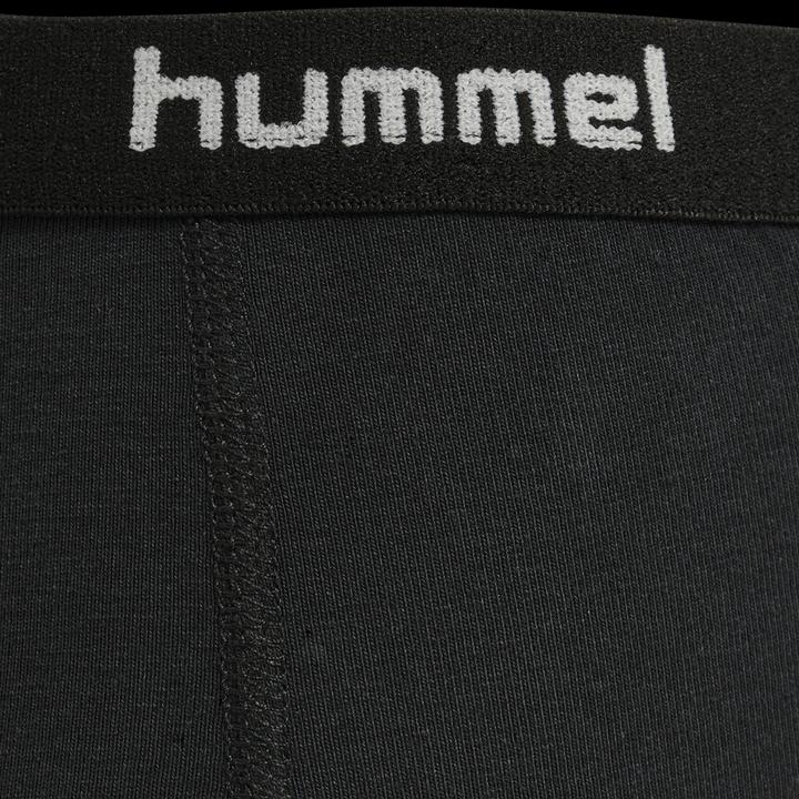 Image du produit hummel Hmlcarolina Hipsters 2-Pack (104, lot de 2)