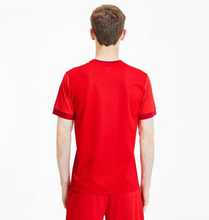 Actual product image Puma teamGOAL 23 Jersey-704171 (L)