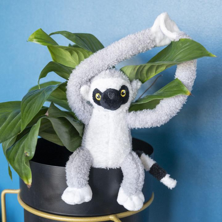 Image du produit Tactic Jungle Mates Peluche - Lemur Maki Gris Noir (27 cm)
