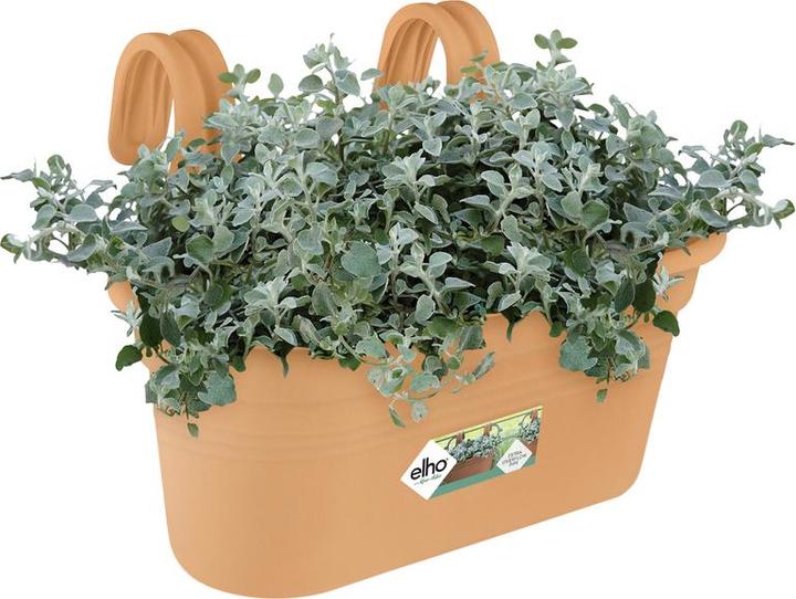 Produktbild Elho Balkonkasten Easy Hanger Green Basics, oval, 26x36x25,7 cm, aus Kunststoff in terracotta (26.20 cm)