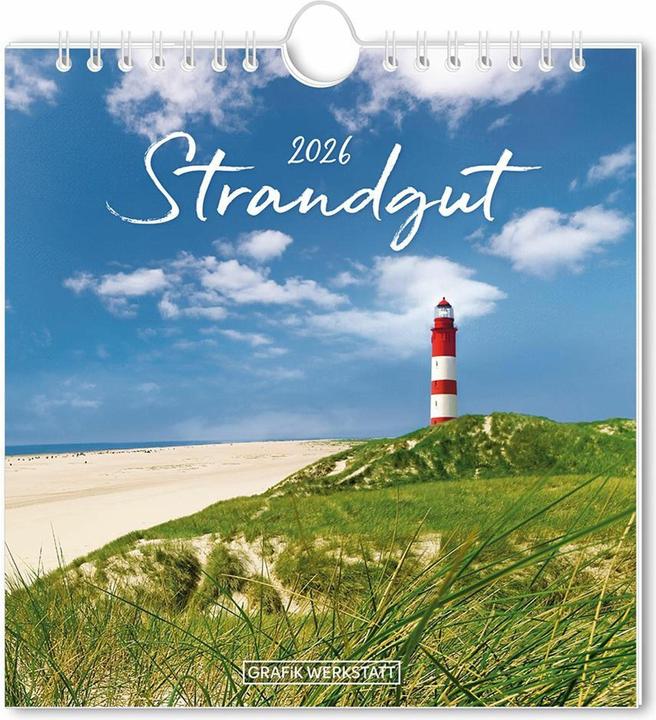 Postkartenkalender 2026 Strandgut (16 x 17 cm, German)