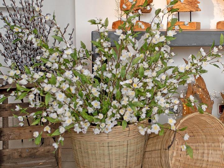 Actual product image Europalms Cherry branch, artificial, white, 60cm (60 cm)