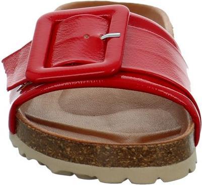Actual product image Verbenas Reiko (38)