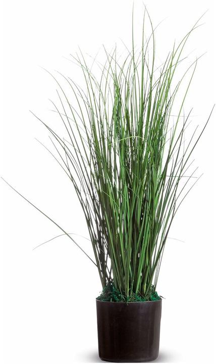 Produktbild Paperflow Gras (55 cm)