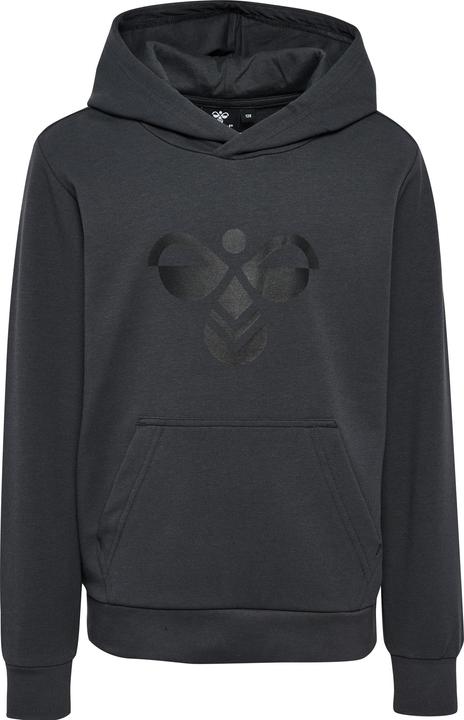 Image du produit hummel hmlCUATRO HOODIE (104)