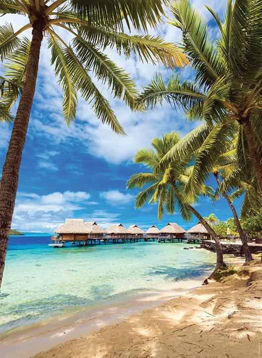 Immagine prodotto Nathan Puzzle 500 pezzi Plage Bora - Polynésie Française (500 pezzi)