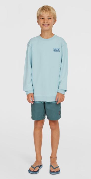 Actual product image O'Neill Logo Crew (104)