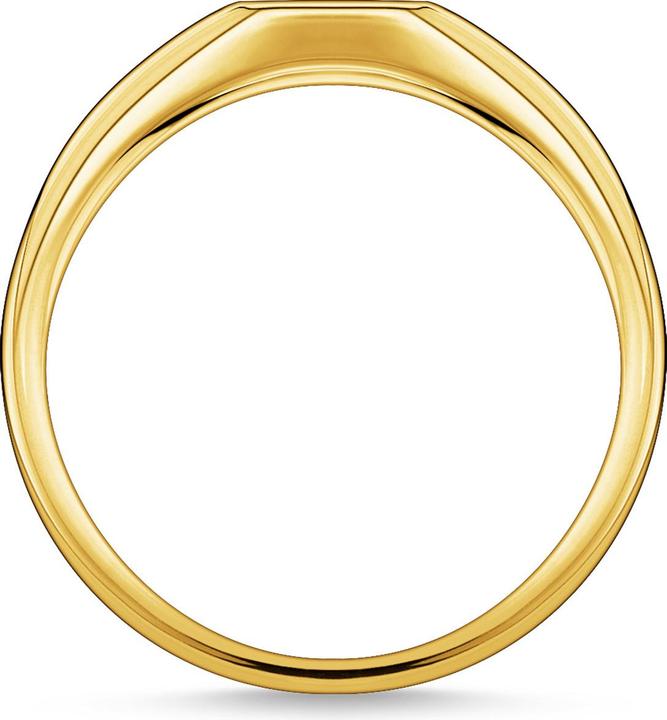 Produktbild Thomas Sabo Ring Stern Gold (56, 925 Silber)