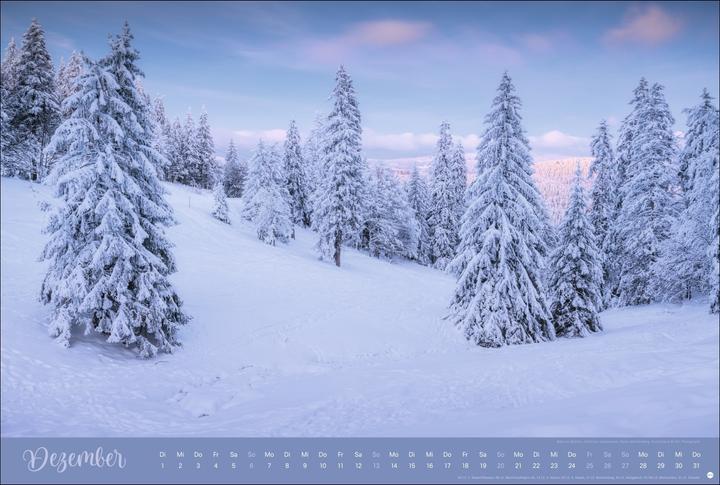 Actual product image Zauberwälder Edition Kalender 2026 (Hardcover, German)