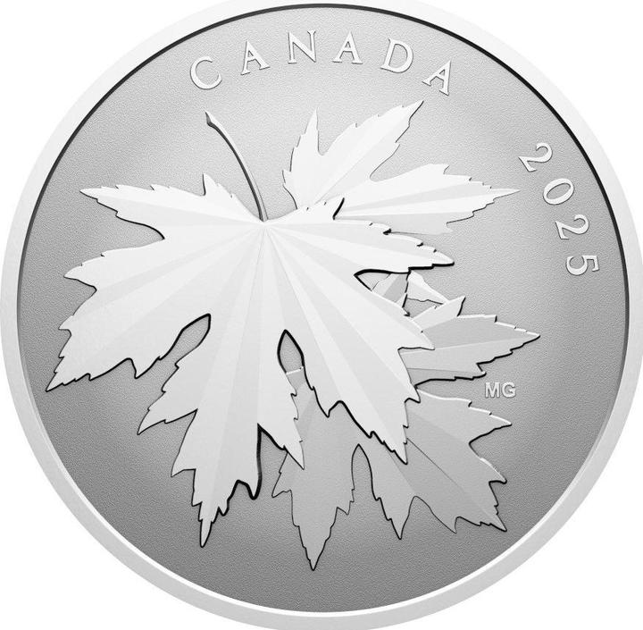 Actual product image Royal Canadian Mint Silber Gleaming Maple Leaf 1/2 oz RP - 2025 (999.90, 2025)