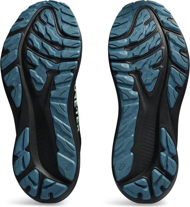 Image du produit ASICS Performance GT-2000 12 (46)
