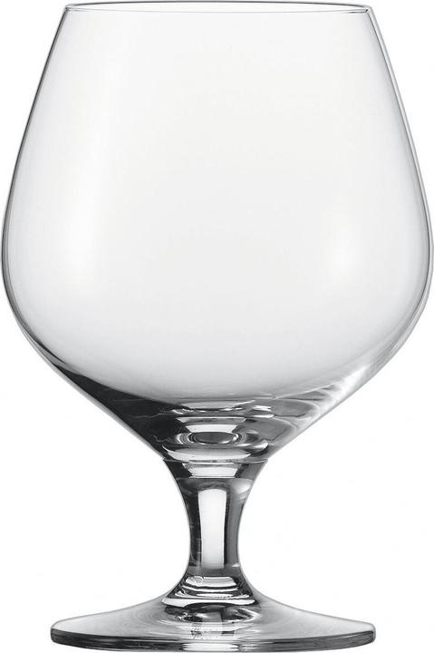 Schott Zwiesel Mondial (5.60 dl, 1 x, Cognacgläser)