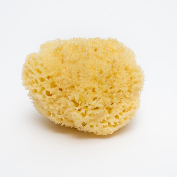Bellini Naturschwamm gebleicht Honeycomb No. 16