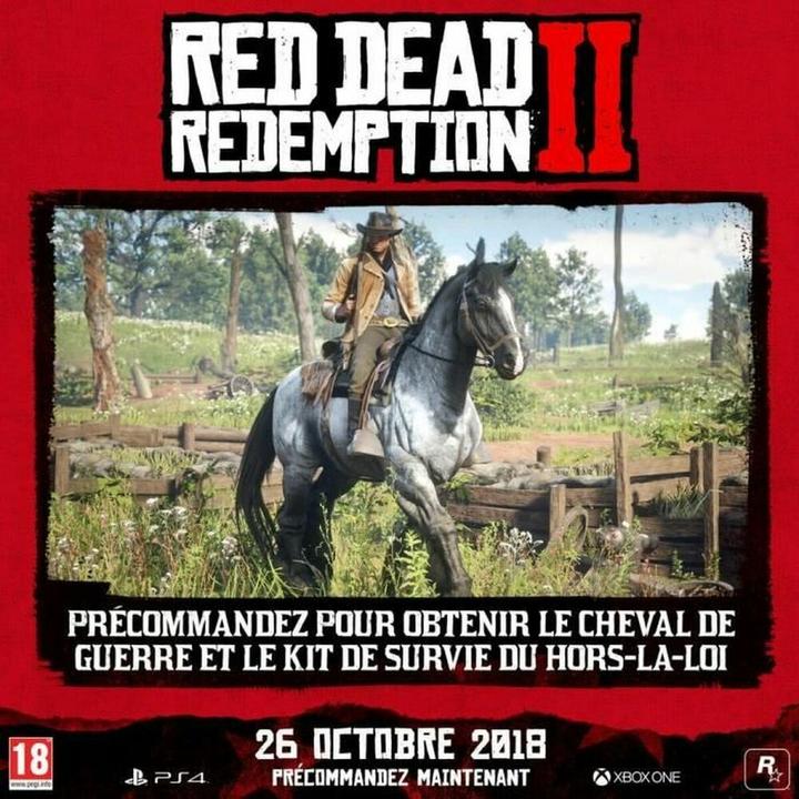 Actual product image 2K Games Red Dead Redemption 2 (PS4, FR)