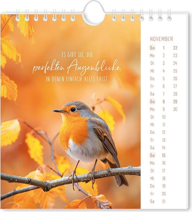 Produktbild Postkartenkalender 2026 Lichtblicke (16 x 17 cm, Harter Einband, Deutsch)
