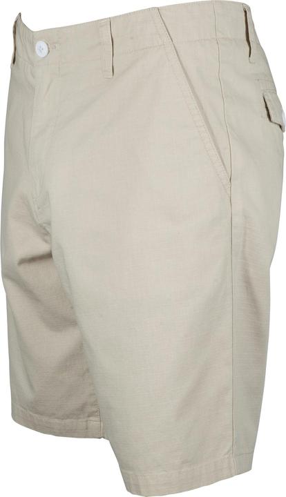 Actual product image Santa Cruz Curb Walkshort (32)
