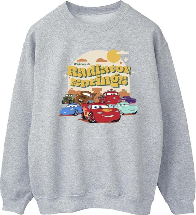 Disney Cars Radiator Springs Group Sweatshirt (L)