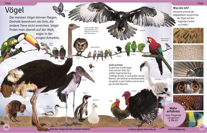 Immagine prodotto DK Kinderlexikon Tiere (Tedesco, DK Verlag - Bambini, 2023)