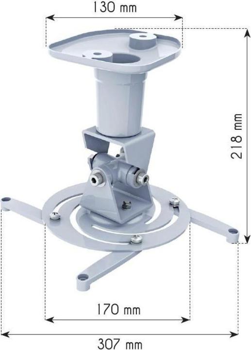 Actual product image Techly ICA-PM-100WH (Ceiling)