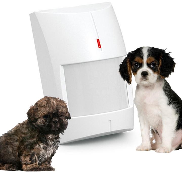 Immagine prodotto Satel Rilevatore A Doppia Tecnologia: Microonde + Pir Grigio Satello (10 m)
