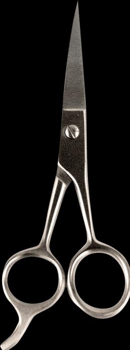 Image du produit BaByliss salon de coiffure (14 cm)