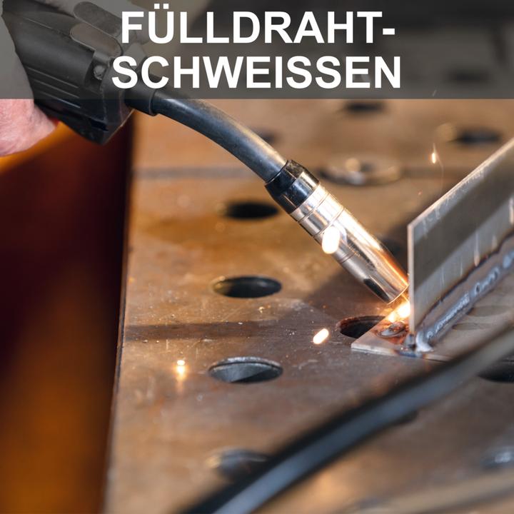 Produktbild Scheppach WSE4000