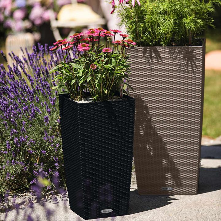 Actual product image Lechuza Cubico Cottage (29.50 cm)