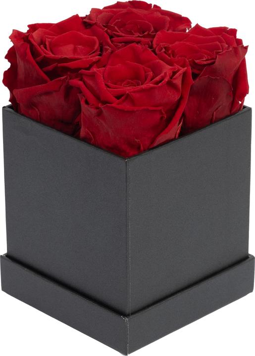 Image du produit Migros Ostschweiz Roses Premium (roses stabilisées) en cube (Fleurs à l'infini)