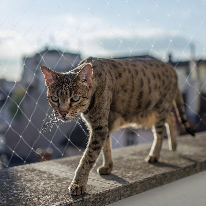 Produktbild EBI Duvo+ Katzentoilettenmatte Swift