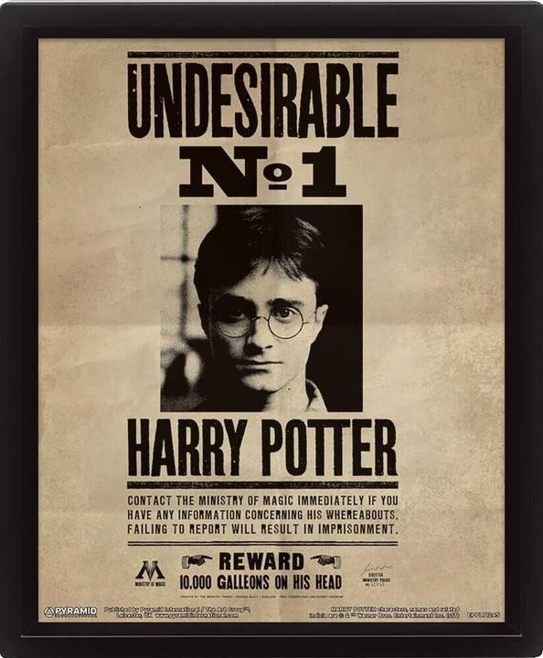 Image du produit Pyramid Harry Potter: Harry Potter - Sirius Black Wanted 3D (26 x 20 cm)