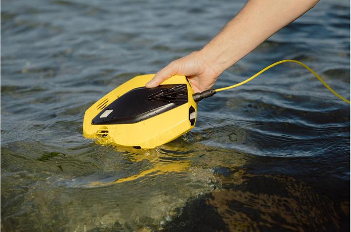 Image du produit Chasing Dory