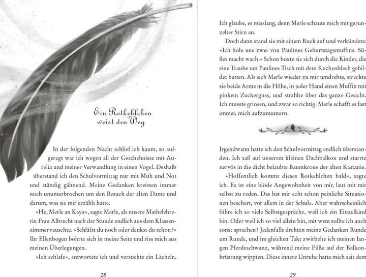 Produktbild Kaya Silberflügel − Das Geheimnis der magischen Federn (Deutsch, Nelly Möhle, 2023)