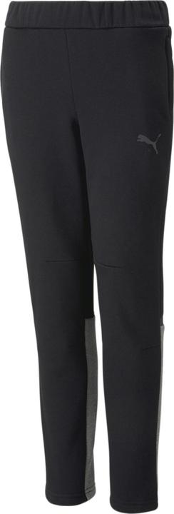 Puma teamCUP Casuals Pants Jr