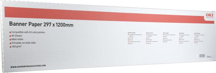 Image du produit OKI Papier banderole (160 g/m², 120 cm, 29.70 cm)