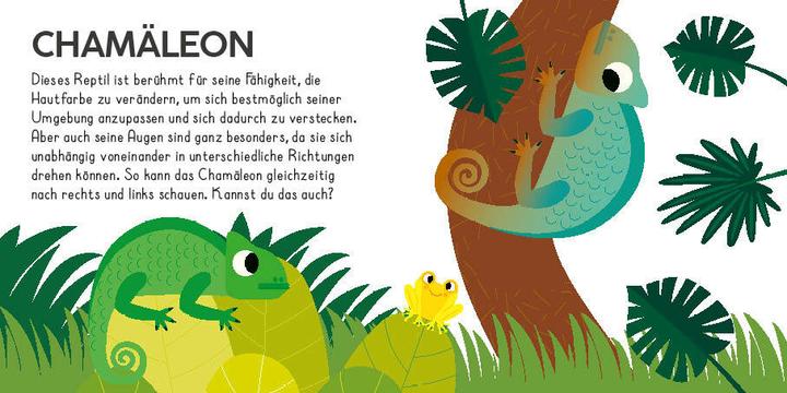 Produktbild National Geographic Meine Puzzle-Box: Dschungel (36 Teile)