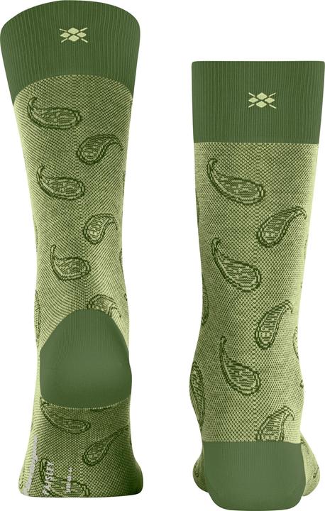 Image du produit Burlington Paisley SO (40 - 46)
