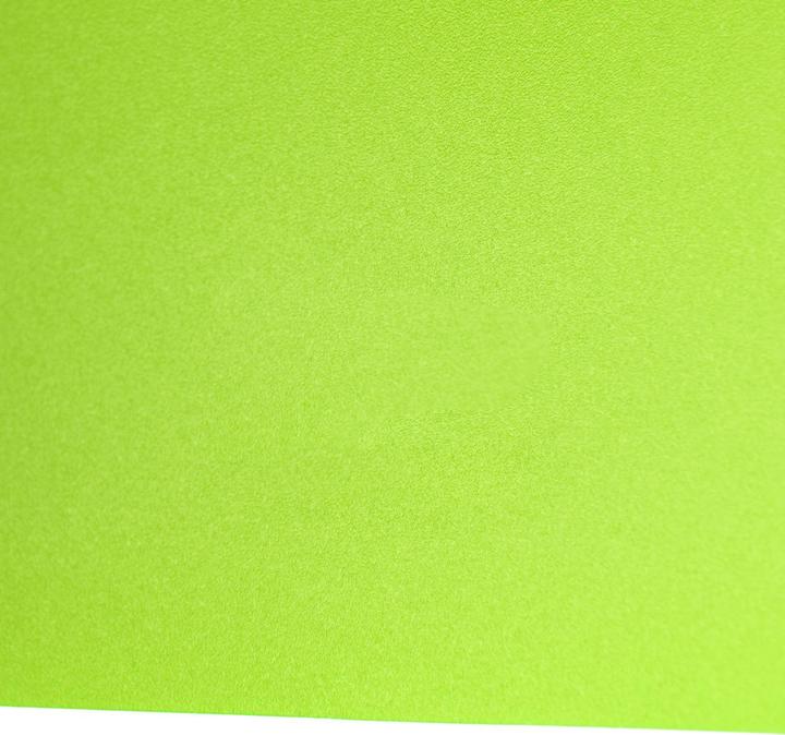 Actual product image Idena Ring binder A4 PP light green 20mm 2 rings (A4, 20 mm, 1 Piece)
