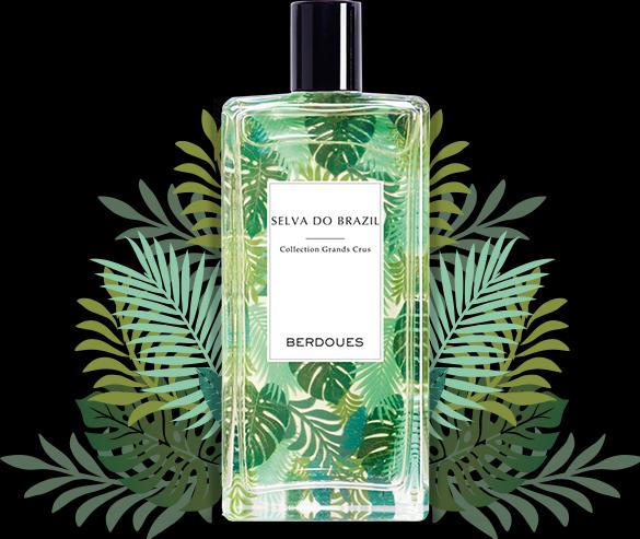 Actual product image Berdoues Selva Do Brazil (Eau de parfum, 100 ml)