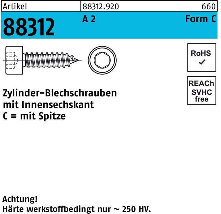 Actual product image Cheese-head tapping screw R 88312 with point/internal hexagon C 5.5 x 19 A 2 (500 Screws per piece)