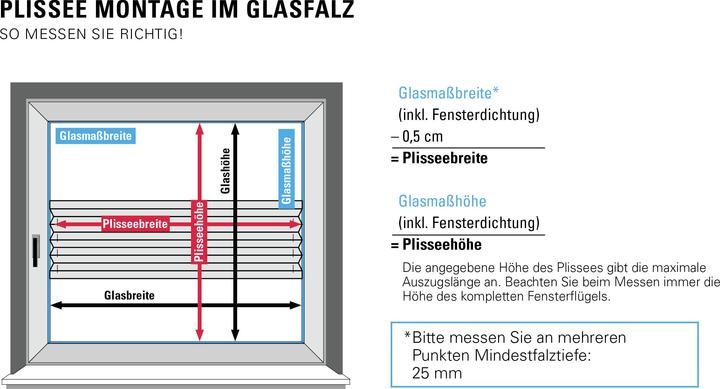Produktbild Gardinia Plissee Concept zum Klemmen Flowers and Plants Zweig (100 x 130 cm)