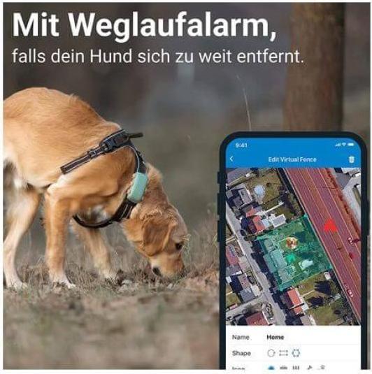 Image du produit Tractive GPS Dog (XL, Chien, Promenade, Jogging, Sport canin)