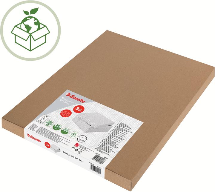Immagine prodotto Leitz Esselte (A4)