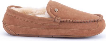 Actual product image Warmbat Earlwood (40)